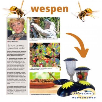 Wespen parasol 4 stuks Homiez - Afbeelding 4