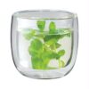 Dubbelw.glas thee 2 stuks Zwilling