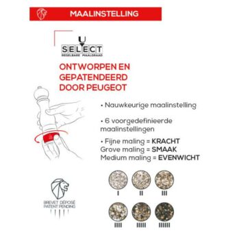 uc Zoutmolen* Daman 16cm US Peugeot - Afbeelding 4