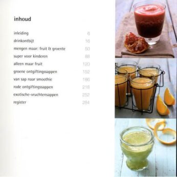 500 Groene sappen & smoothies - Afbeelding 2