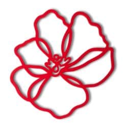 Panonderzetter Poppy Red Silicone Tools2Cook
