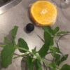 Sapkan fruitspiezen WMF - Afbeelding 4